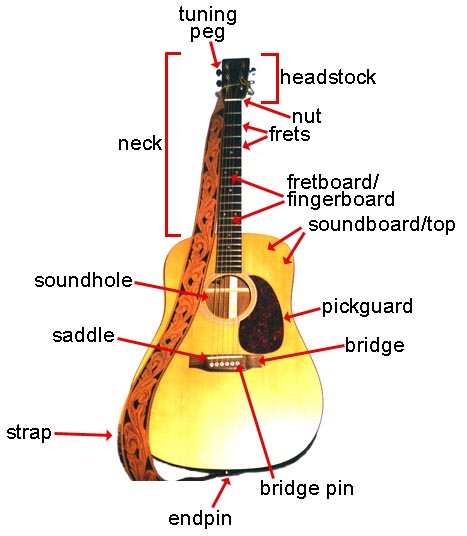 acoustic guitar parts. the parts of the guitar.